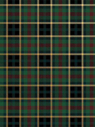 Hunter Navy Plaid