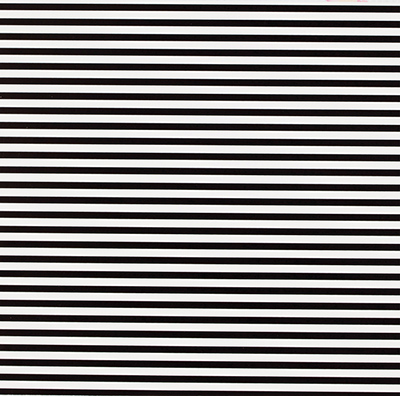 Black White Stripe