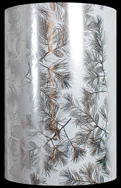 Silver Pine Boughs