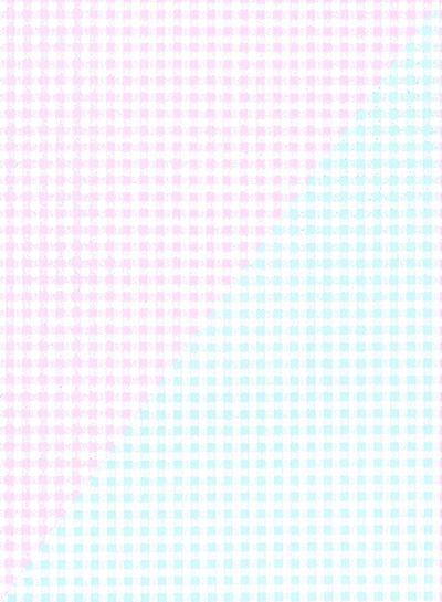 Pink & Blue Gingham Reversible