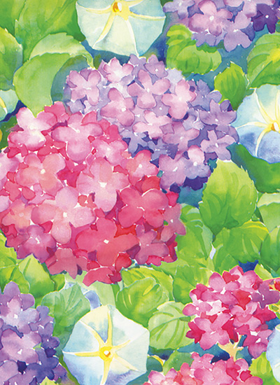 Hydrangeas