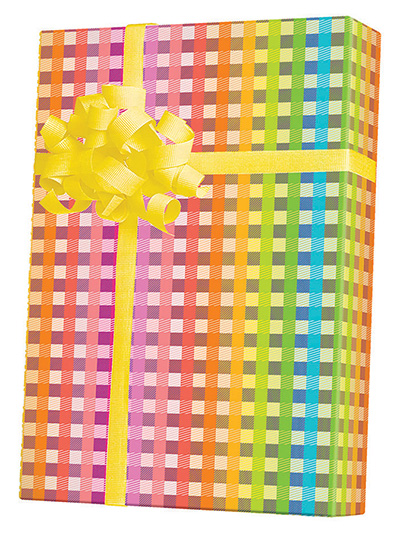Rainbow Gingham